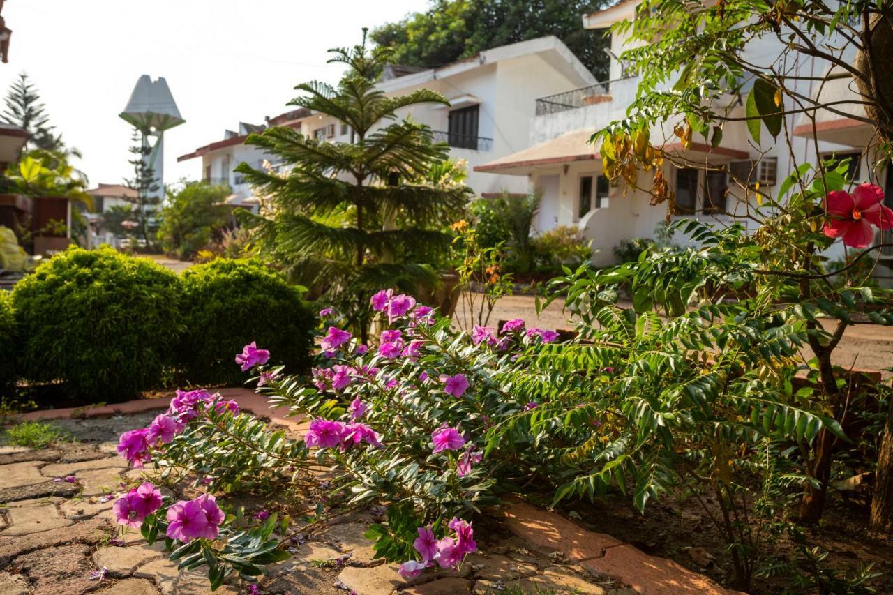 AspireAlconVilla-2Bhk-BeachTouch-Candolim Esterno foto